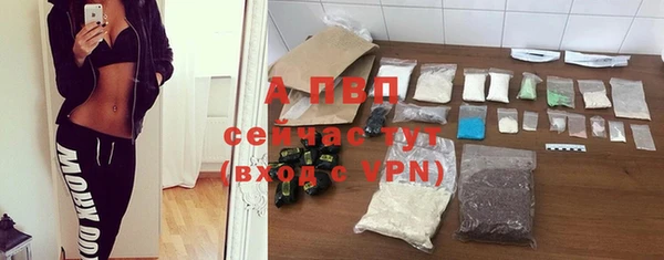 apvp Алзамай
