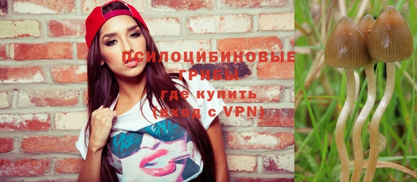 apvp Алзамай