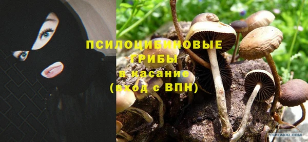 герыч Алексин