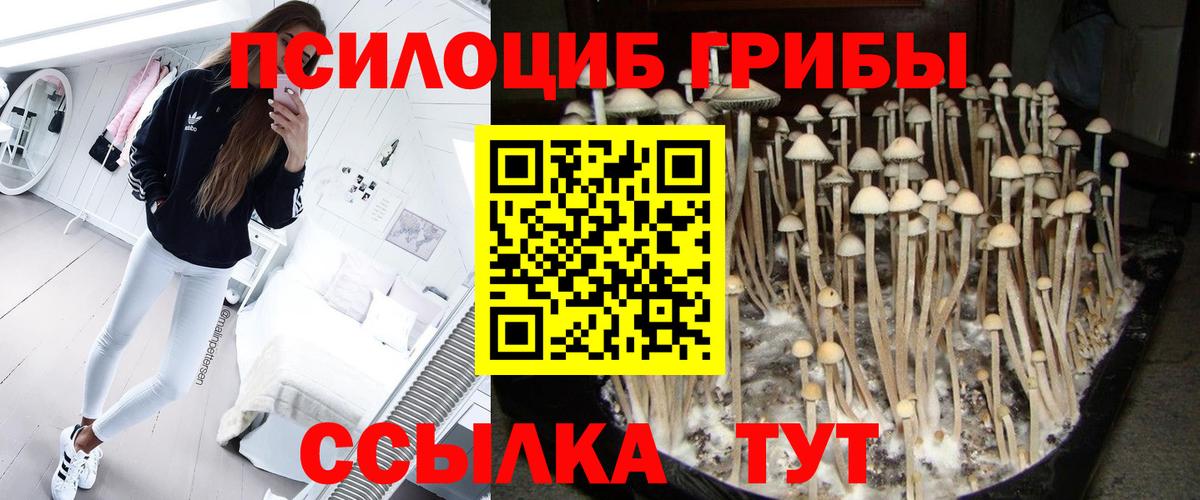 Галлюциногенные грибы GOLDEN TEACHER Донской