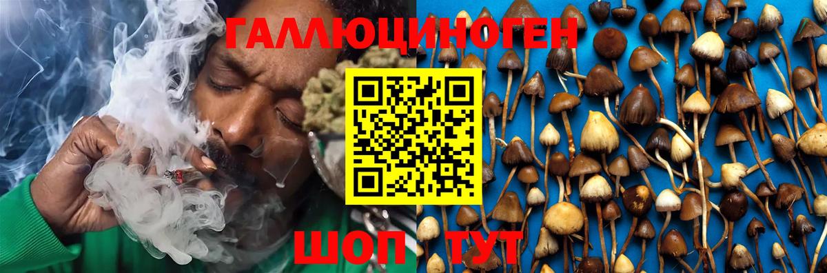 Донской  Псилоцибиновые грибы Magic Shrooms  Вход с VPN 